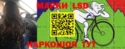apvp Тверь