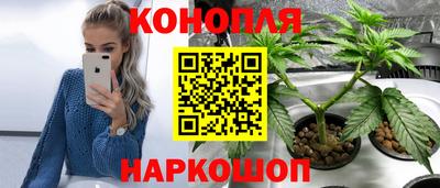 шишки Тула