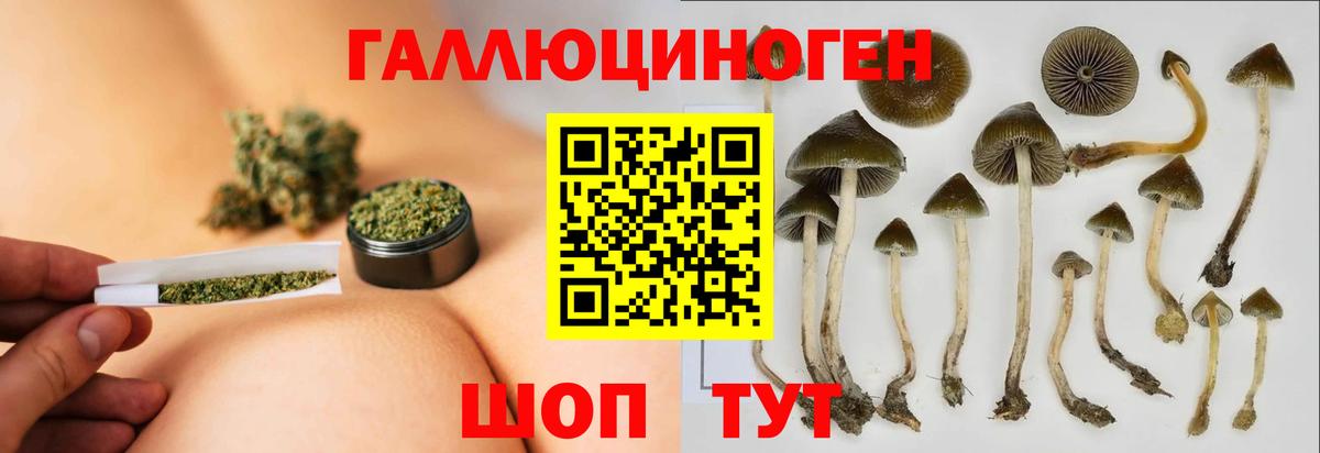 Галлюциногенные грибы Psilocybe  Вход с VPN  хочу   Благодарный 